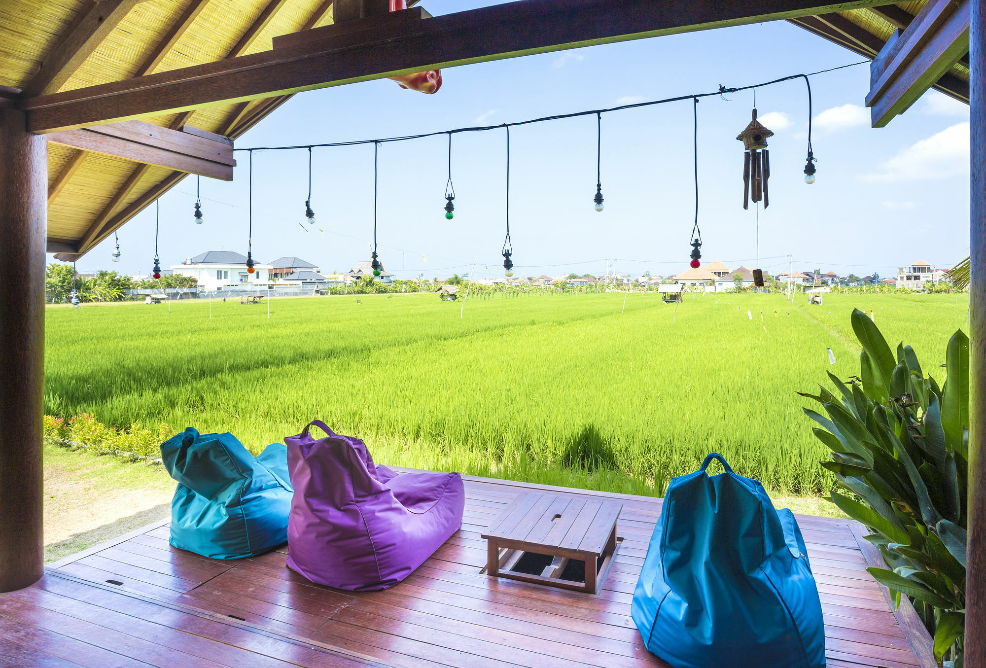Big Brother Surf Inn Canggu Εξωτερικό φωτογραφία