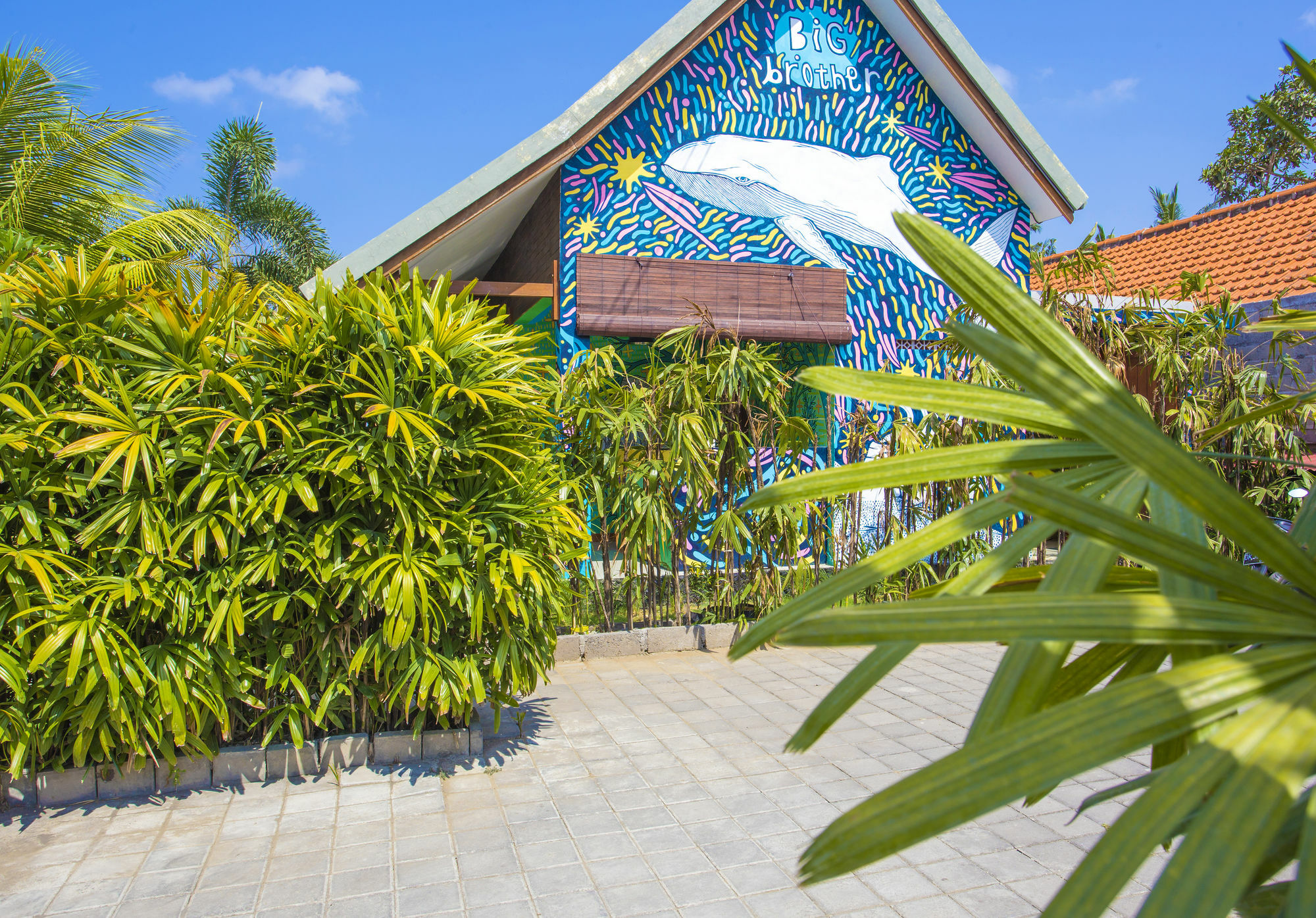 Big Brother Surf Inn Canggu Εξωτερικό φωτογραφία